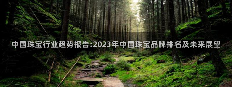 新宝5日740005蔻：中国珠宝行业趋势报告:2023年中国珠宝品牌排名及未来展